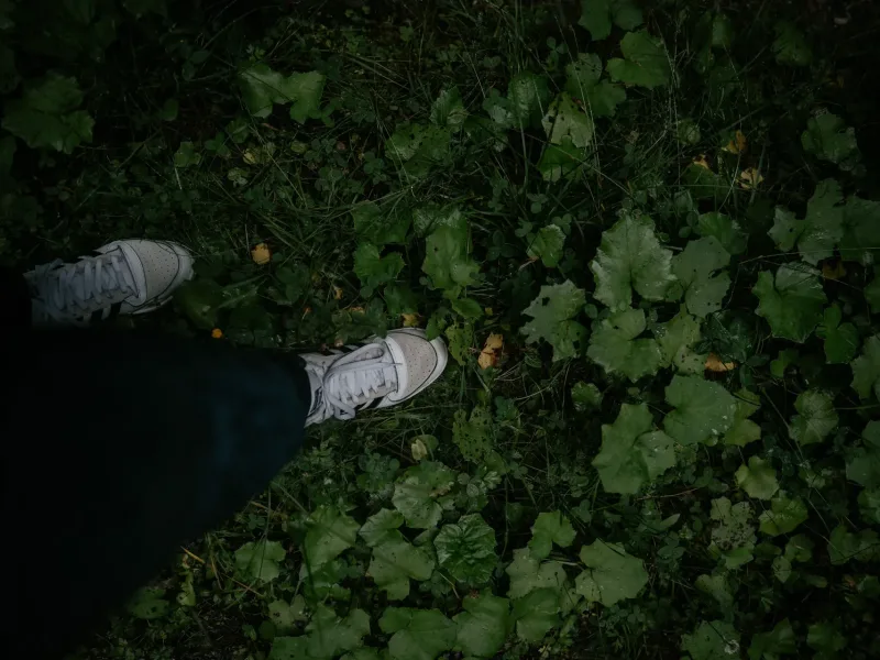 Walking on plants