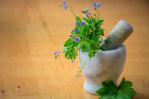 Herbs in a mortar and pestle